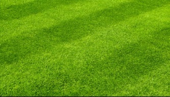 SCA Lawn Care logo