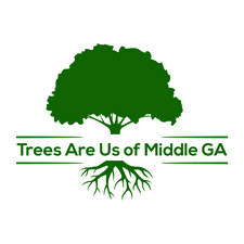 Avatar for A-Trees Are Us Service