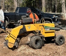 Avatar for W. Garcia Landscaping & Tree Services