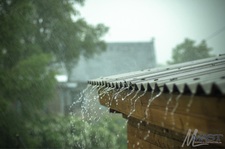 Avatar for Advance Roofing And Repairs