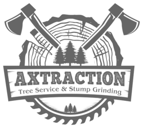 Axtraction logo