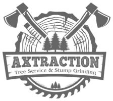 Avatar for Axtraction