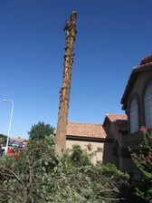 Chavez Tree Trimming logo
