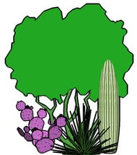 Avatar for Landshapes, LLC