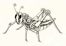 Grasshopper Renovations, LLC logo
