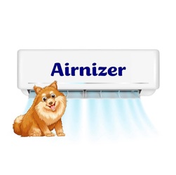 Airnizer, Inc. logo