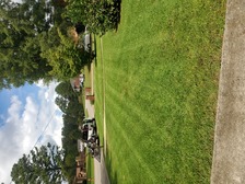 Avatar for Mcduff Lawn care llc