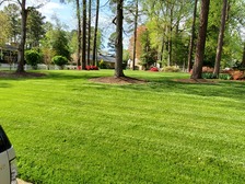 Logo for Artistree Landscaping