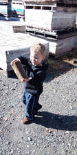 Avatar for Surianos landscaping and lawn maintenance - Home Facebook