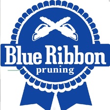 Logo for Blue Ribbon Pruning