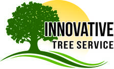 Logo for Innovative Tree Experts