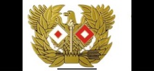 Eagle I.T. Management logo