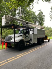 Green Leaf Tree Service logo