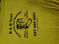Logo for B & R Tree Trimming and Removal LLC
