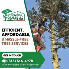 Avatar for Multiservicios Morales LLC