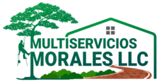 Avatar for Multiservicios Morales LLC