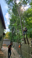 Kmitts Tree Service logo