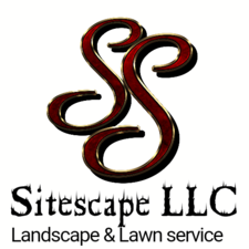 Site Scape logo