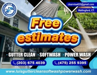 Luis Gutter Clean, Soft Wash, Power Wash logo