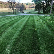 Avatar for Alive and Thrive Landscaping, LLC