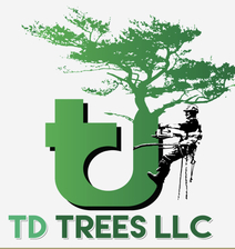 Logo for TD Trees LLC