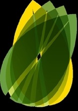 Logo for Rosi Clean Inc.
