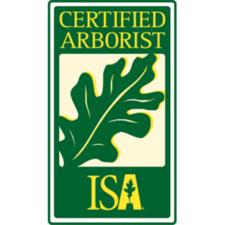 Andy Chulski Tree Services logo
