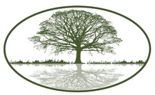 Avatar for New Life Renovations, Inc.