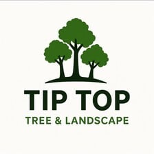 Avatar for Tip Top Tree Care