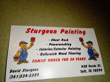 Logo for Sturgeon Painting