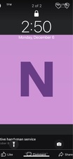 Logo for Native Handyman Service