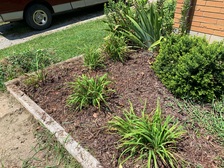 Avatar for Deloachs Lawncare - Home  Facebook