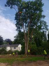 Avatar for Godoy's Tree Service