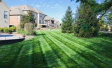 Luxury Lawn Care logo