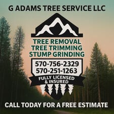 Logo for G Adams Tree Service LLC