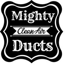 Avatar for Mighty Clean Air Ducts