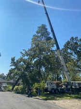 Logo for Jay-Starr Tree & Landscaping