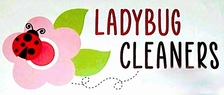 Ladybug Cleaning Services logo