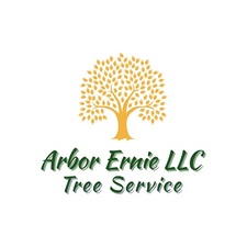 Avatar for Arbor Ernies Tree Service - Pgina inicial  Facebook