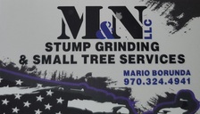 Avatar for M & N Stump Grinding and Small Tree Services