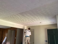 Flawless Wall Renovations logo