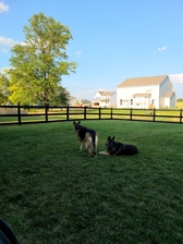 My Fence Fence Company, LLC logo