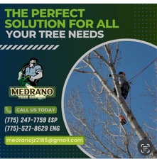 Medrano Trees Service logo