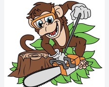 Premier Tree & Landscaping logo