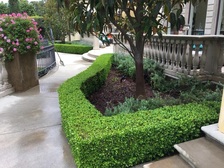 Jr's Gardening's logo