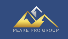 Peake Professional Group, LLC logo