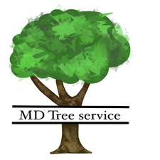 Logo for MD Tree Service, LLC