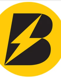 Bailey's Power Professionals logo