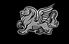 Avatar for Silver Lion Roofing
