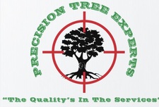 Precision Tree Experts logo